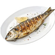 Spaghettoni de Gragnano (15)