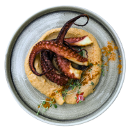 Diseño sin título (33)